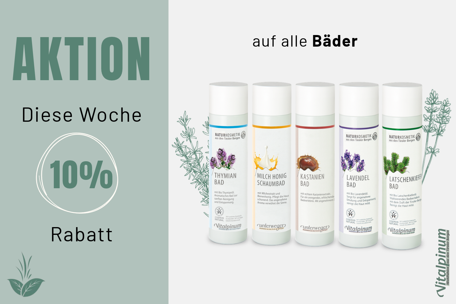 Monatsaktion